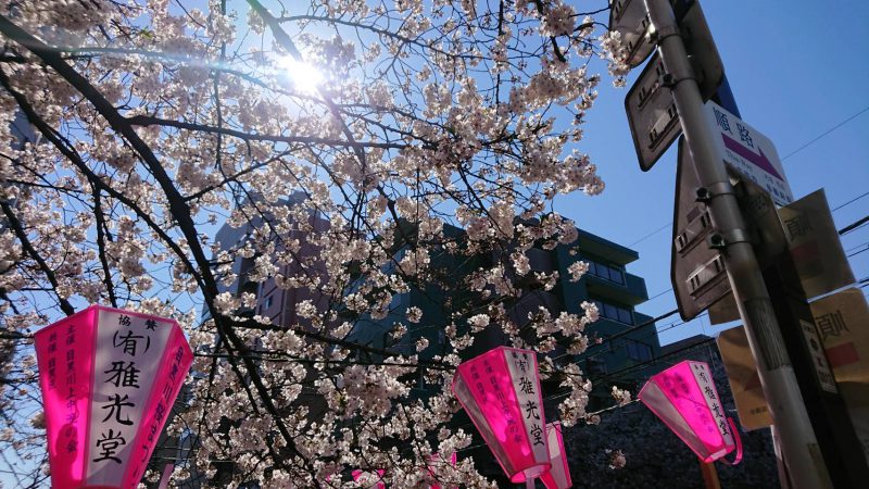 「春のかほりがする目黒川」の巻