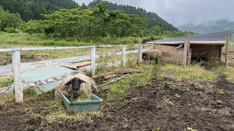 追記：「ADはどこにでも飛んでいく～富山弾丸おつかい～」の巻➁